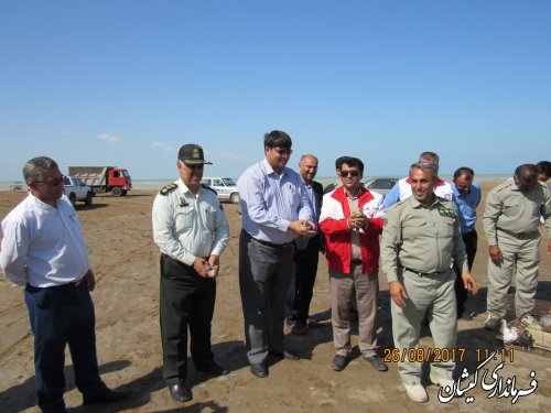 رهاسازی چندین قطعه پرنده در سواحل توماجلر چارقلی شهرستان گمیشان