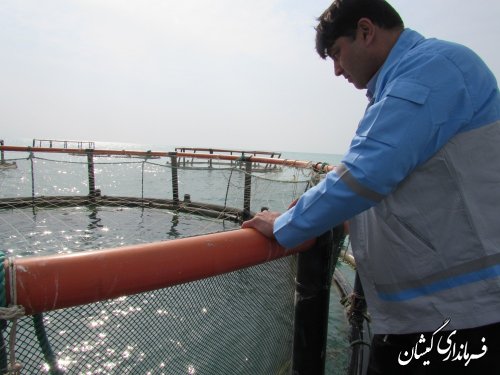 بازدید فرماندار گمیشان از اجرای پروژه پرورش ماهی در قفس