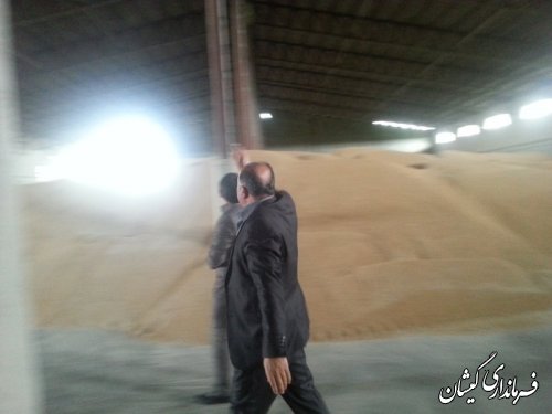 تاکید فرماندار گمیشان در جهت بهبود وارتقای کیفیت تولید آرد کارخانجات شهرستان