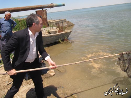 بازدید فرماندار گمیشان از اجرای پروژه پرورش ماهی شرکت سبز دشت قلعه ها