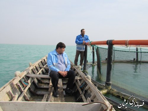 بازدید فرماندار گمیشان از اجرای پروژه پرورش ماهی در قفس