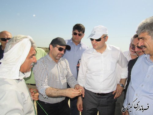 بازدید سفیر ترکمنستان از مجتمع پرورش میگوی گمیشان